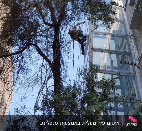 אדם מטפס על חבלים ליד בניין זכוכית גבוה